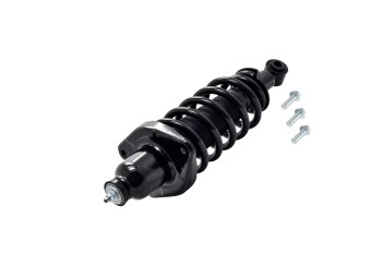 Suspension Strut and Coil Spring Assembly