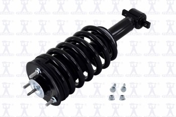 Suspension Strut and Coil Spring Assembly