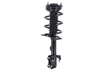 Suspension Strut and Coil Spring Assembly