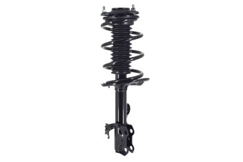 Suspension Strut and Coil Spring Assembly