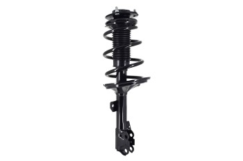Suspension Strut and Coil Spring Assembly