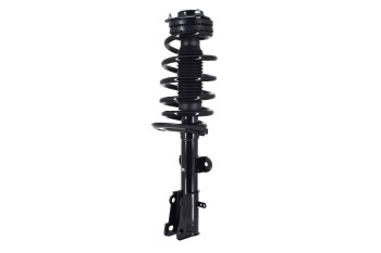 Suspension Strut and Coil Spring Assembly