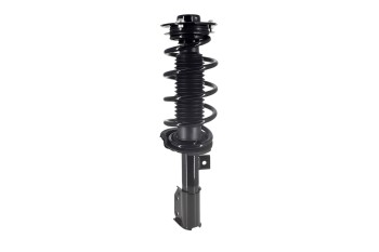 Suspension Strut and Coil Spring Assembly