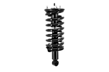 Suspension Strut and Coil Spring Assembly