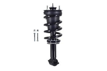 Suspension Strut and Coil Spring Assembly