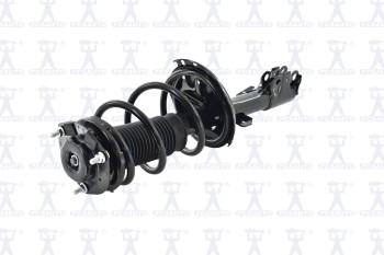 Suspension Strut and Coil Spring Assembly