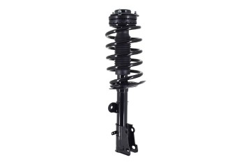 Suspension Strut and Coil Spring Assembly