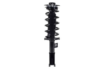 Suspension Strut and Coil Spring Assembly