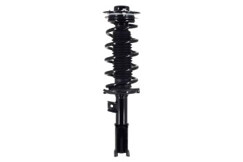 Suspension Strut and Coil Spring Assembly