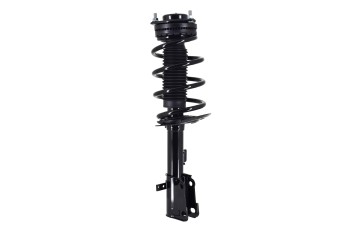 Suspension Strut and Coil Spring Assembly
