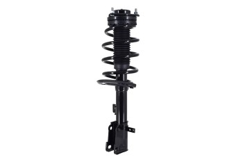 Suspension Strut and Coil Spring Assembly