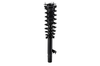 Suspension Strut and Coil Spring Assembly