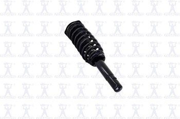 Suspension Strut and Coil Spring Assembly