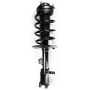 Suspension Strut and Coil Spring Assembly