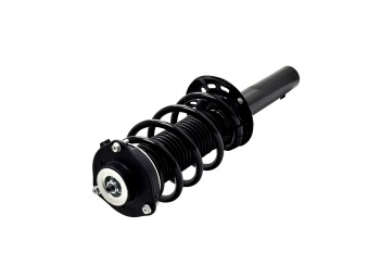 Suspension Strut and Coil Spring Assembly