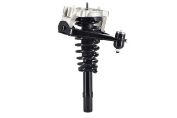 Suspension Strut and Coil Spring Assembly