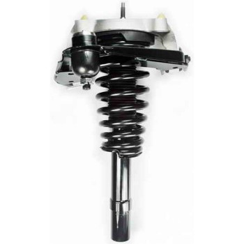 Suspension Strut and Coil Spring Assembly