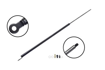 Liftgate Lift Support