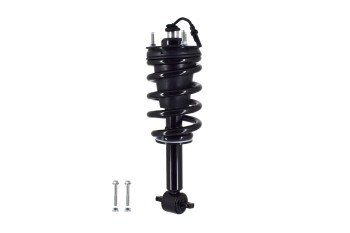 Suspension Strut and Coil Spring Assembly