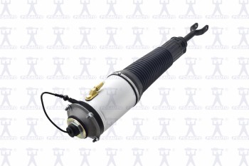 Air Suspension Strut
