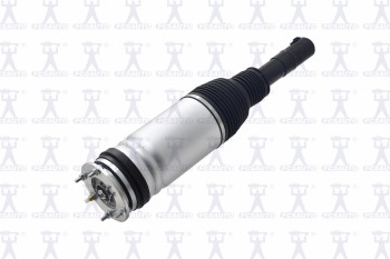 Air Suspension Strut