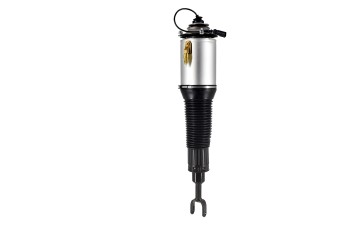 Air Suspension Strut