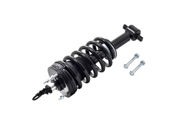 Suspension Strut and Coil Spring Assembly