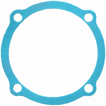 Engine Water Pump Backing Plate Gasket