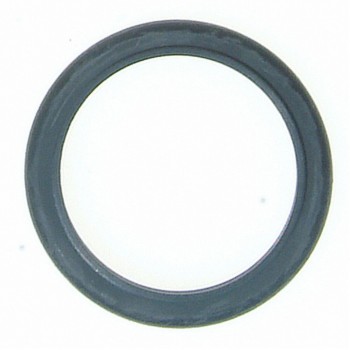 Engine Coolant Thermostat Seal