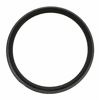 Engine Coolant Thermostat Seal