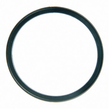 Engine Coolant Thermostat Seal