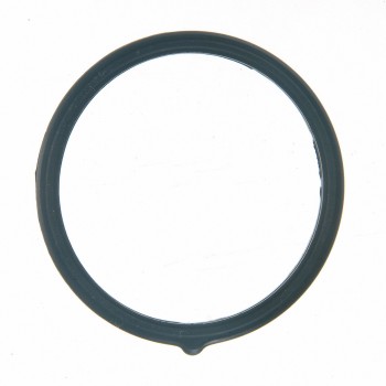 Engine Coolant Thermostat Seal
