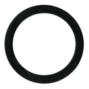 Engine Coolant Thermostat Seal