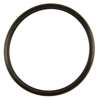 Engine Coolant Thermostat Seal