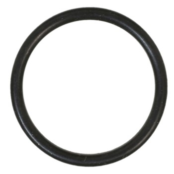Engine Coolant Pipe O-Ring