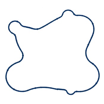 Engine Water Pump Gasket