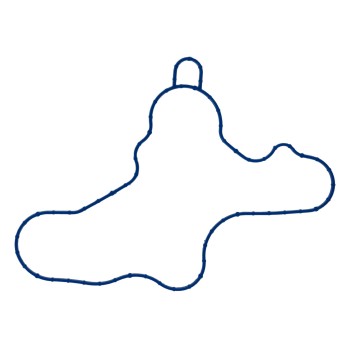 Engine Water Pump Gasket