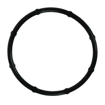 Engine Coolant Thermostat Housing Seal