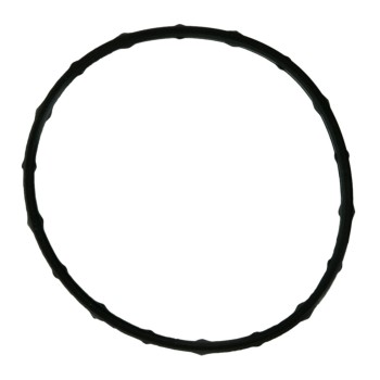 Engine Coolant Thermostat Seal