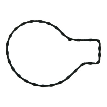Engine Water Pump Gasket