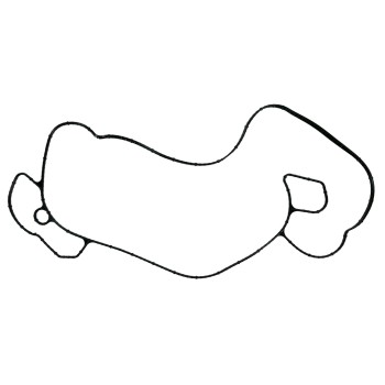 Engine Water Pump Gasket