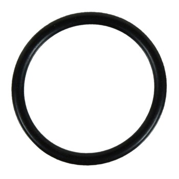 Engine Coolant Outlet O-Ring