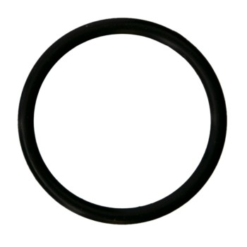 Engine Water Pump Seal