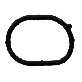 Engine Coolant Thermostat Case Seal