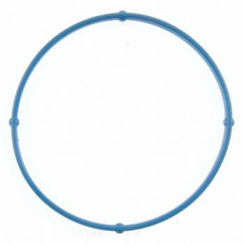 Fuel Injection Throttle Body Mounting Gasket