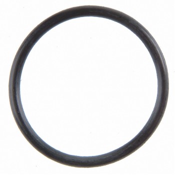 Fuel Injection Idle Air Control Valve Seal