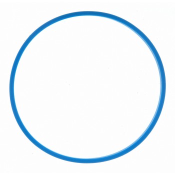 Fuel Injection Throttle Body Mounting Gasket