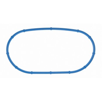 Fuel Injection Throttle Body Mounting Gasket