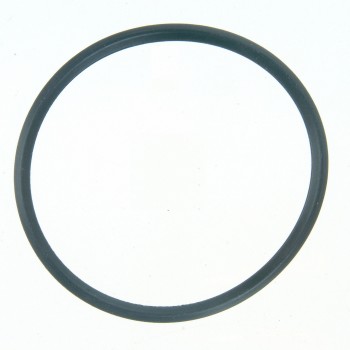 Fuel Injection Throttle Body Mounting Gasket