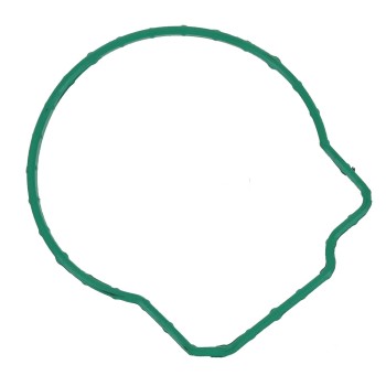 Fuel Injection Throttle Body Mounting Gasket